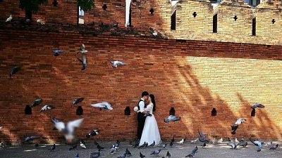 【无视警告】为拍摄“震撼”婚纱照，中国夫妇“靠吓”营造鸽子展翅齐飞效果！