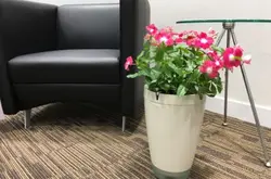 ParrotPOT智能装置帮手种花