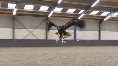 “自动化”空对空武器：荷兰警方训练“猎鹰”捕捉违规航拍无人机