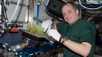 NASA“种菜实验”成功太空人初尝新鲜蔬菜