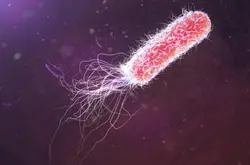 【生化危机还是线粒体夏娃？】哈佛大学发表在生细菌细胞储存技术