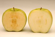 美国批准转基因苹果种植