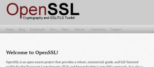 OpenSSL修补高风险的DoS漏洞