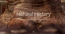 Google线上虚拟博物馆用VR带你重返侏罗纪时代贴近恐龙生活