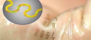 科学家发明新的可延展芯片，能像刺青般依附在皮肤上