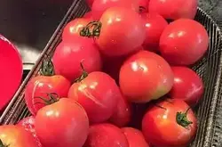 日本的饮食系列（蔬菜2）——关于日本番茄的进化史