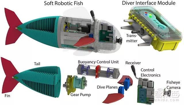 MIT研发以假乱真的软机器鱼 没有吓到附近的海洋生物
