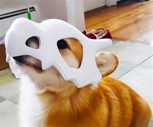 就决定是你了卡拉卡拉 3D打印同款宠物面具