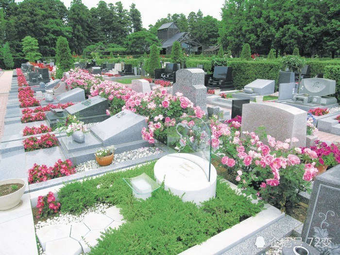 共享坟墓是什么鬼？日本新兴产业最多可6人共享