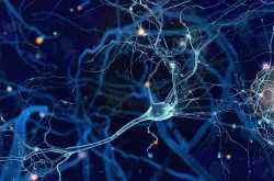 研究成功地测试假体记忆大脑植入物