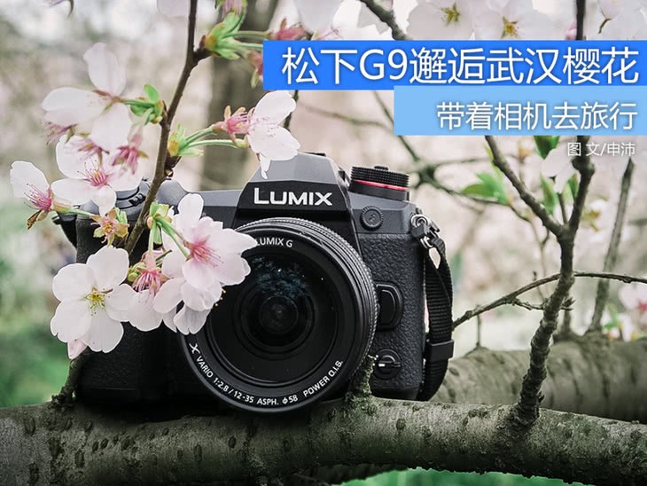 带着相机去旅行与松下G9在武汉邂逅一次樱花之恋