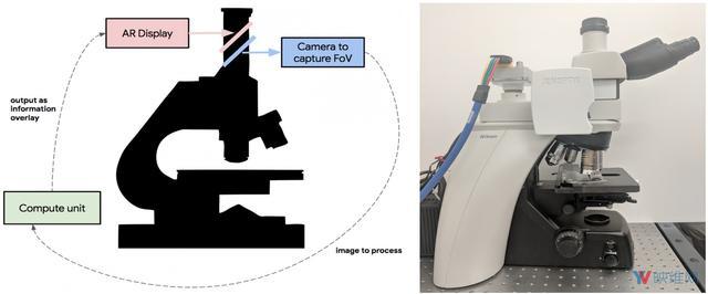 抗击癌症 谷歌为医疗诊所研发AR显微镜平台ARM