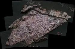 清澈如泥：干燥裂缝揭示火星上水的形状