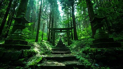 日本网民分享“异世界”，可能是当地最美丽的神社照片