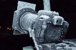 冰天雪地相机、器材结冰用不到？获奖摄影师AnthonyPowell分享极地拍摄技巧