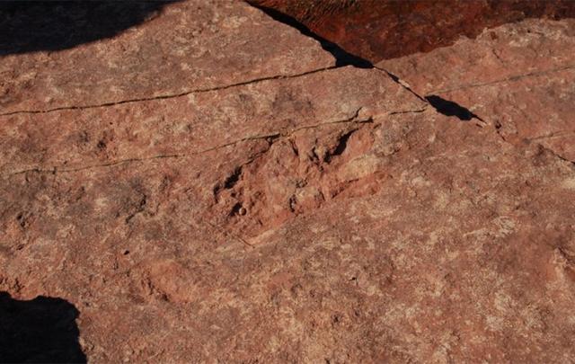 犹他州游客不断将包含恐龙足迹的砂岩扔入湖中