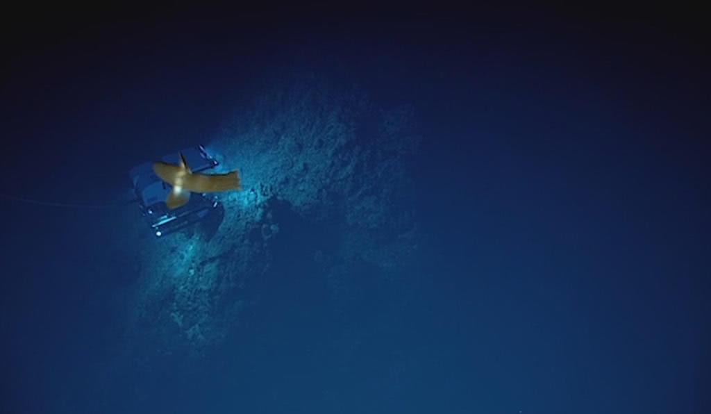 科学家在1万多米的海洋最深处发现令人不安的东西 给人类敲响警钟