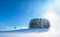 如何拍好银装素裹的世界雪景拍摄要注意的地方