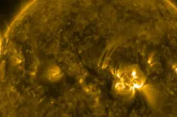 为何太阳日冕在100万华氏度下嘶嘶作响？物理学家正发掘蛛丝马迹