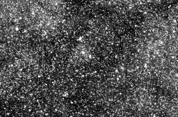 开普勒望远镜继任者TESS发回了第一批测试图像 还是抓拍的