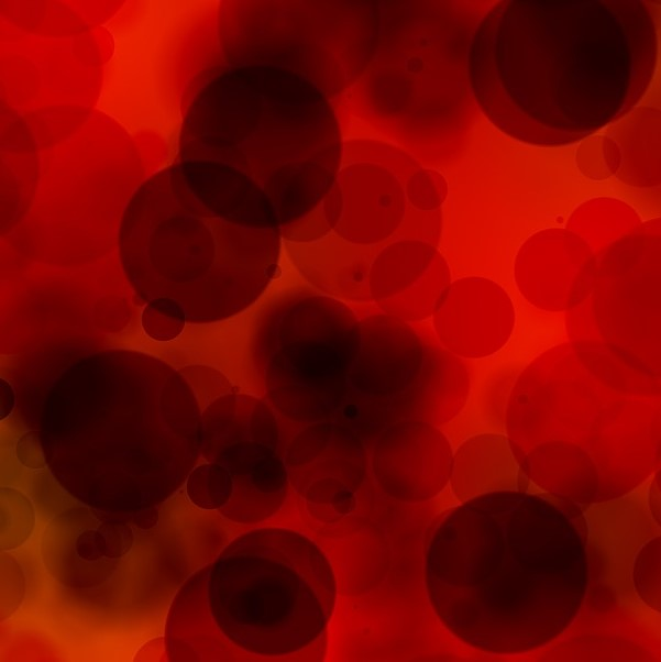 让血液有金属味，“E2D分子”判别生物噬血或怕血