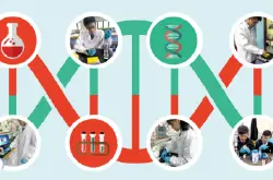 中学生研究DNA纳米科技