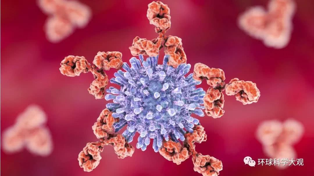 治愈艾滋病即将实现？HIV疫苗消灭31％突变类型 进入人体实验