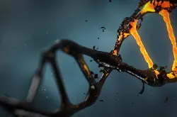 基因治疗即将走进生活