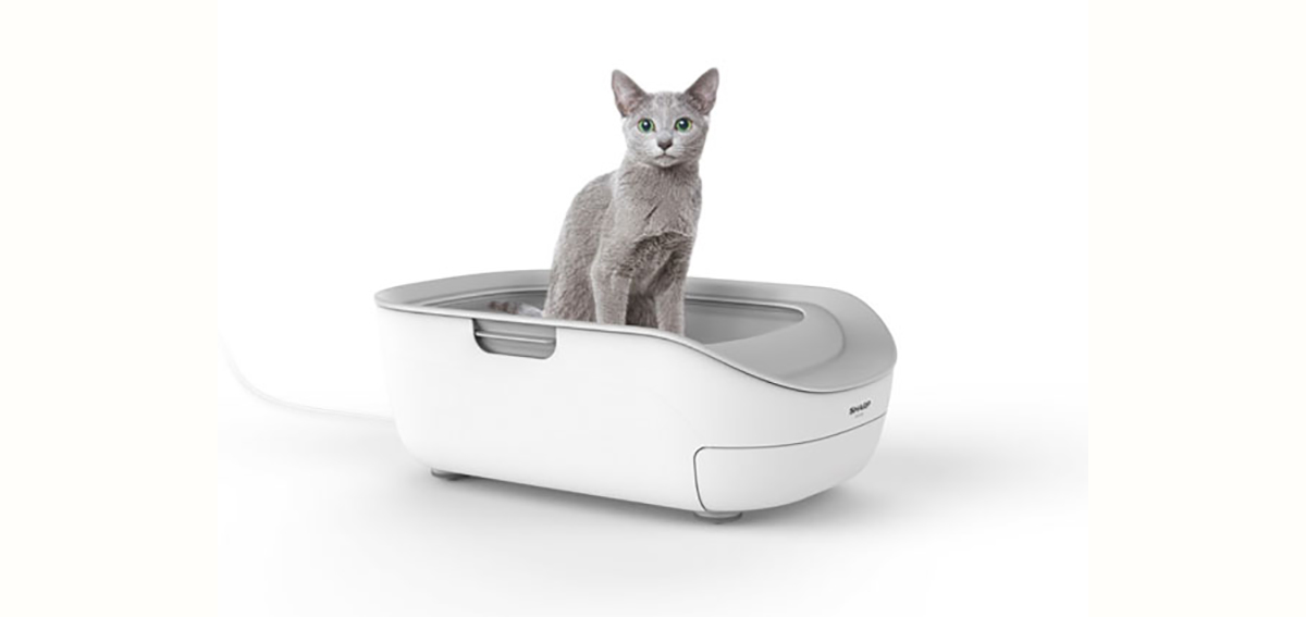 Sharp智慧猫砂盆：可量体重、室温并监控排泄状况