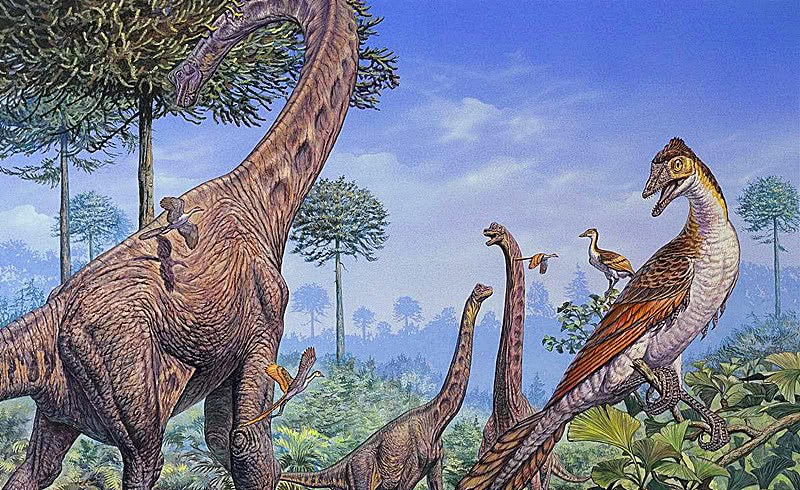 体毛级发现 恐龙也有头皮屑？