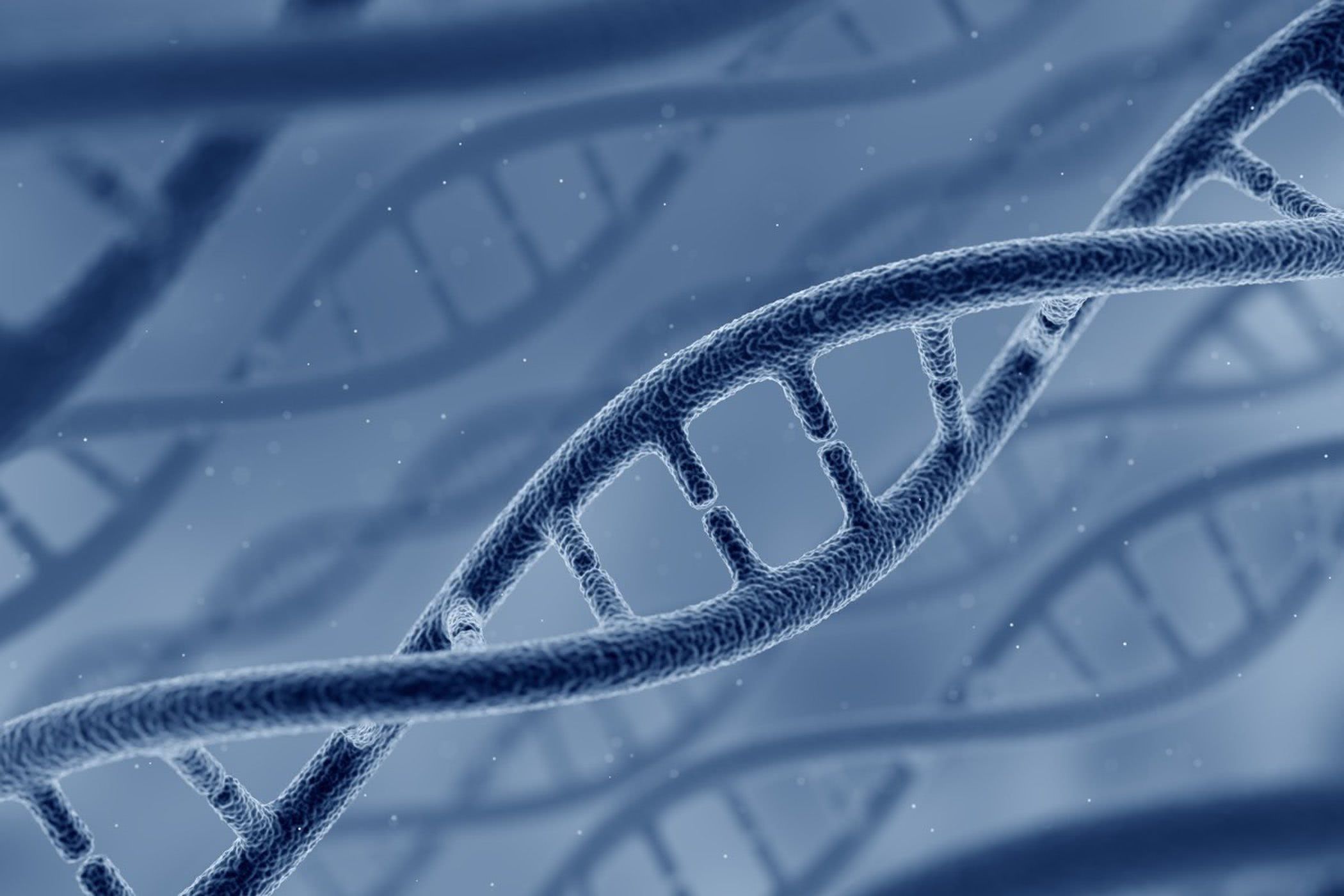 这种基因工具可在一夜之间创造出新基因？