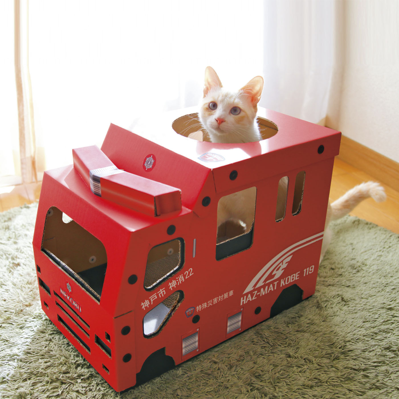 神户市消防局推出猫抓板提醒主人重视宠物火灾