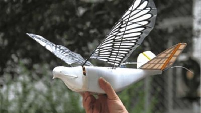 “和平鸽”变监控工具？中国研发仿鸟型无人机
