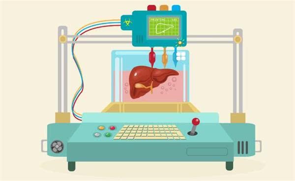 3D打印人体器官越来越近这家公司打算5年内推出器官替代产品