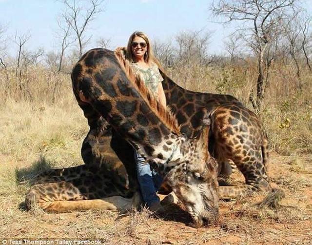 美国肯塔基州女猎人射杀稀有黑色长颈鹿晒合照引众怒