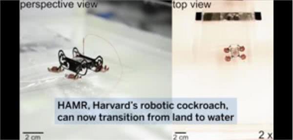 哈佛大学研发新一代蟑螂机器人HAMR既可陆地行走也能水下漫步