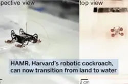 哈佛大学研发新一代蟑螂机器人HAMR既可陆地行走也能水下漫步