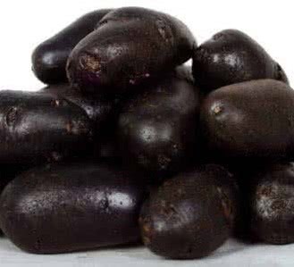 农民种植黑土豆 被称为推动土豆产业发展的土豆兄弟