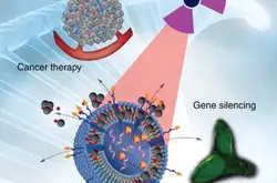 CNBP研究人员改变纳米结构 提升癌症靶向药物效率