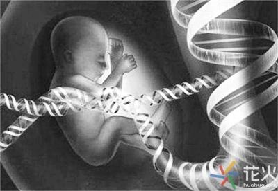 英国相关伦理学协会表示基因编辑人类胚胎伦理上可接受