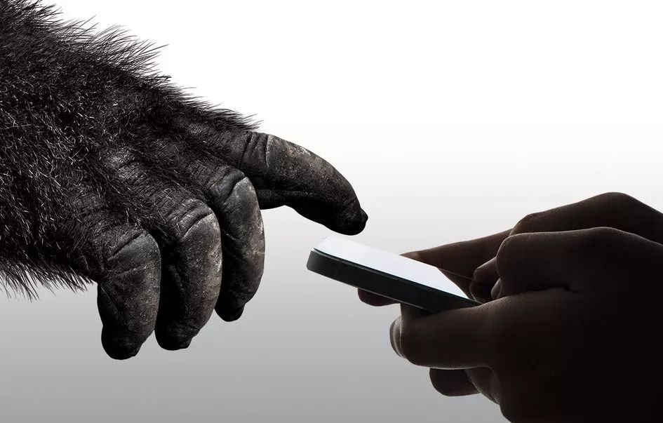 第六代大猩猩玻璃发布 新一代iPhone将更耐操