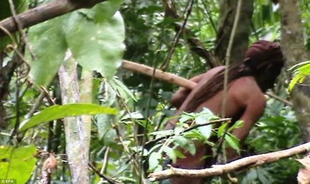 巴西亚马逊森林部族20年前险被灭族最后1名男土著被拍到在砍树