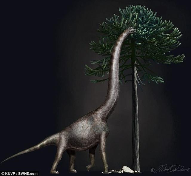 美国古生物学家称怀俄明州的大脚怪脚印是迄今发现的最大恐龙足印化石