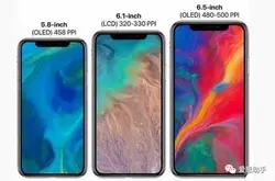 2018款iPhone调查：6.5寸版本最吃香