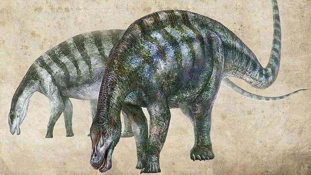 中国发现神奇灵武龙化石可能改写恐龙谱系