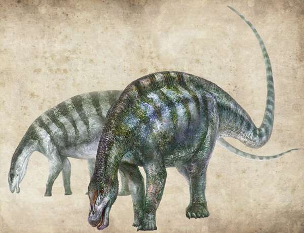 中国出土的神奇龙可以追溯到亚洲最早蜥脚类动物
