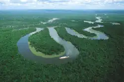 藏在亚马逊雨林的夺命温泉 温度达100℃ 掉入的生物无一生还