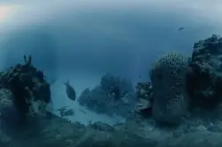 HydrusVR相机系统可在水下深处捕获360度8K视频