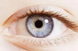 AI看眼睛读心微小活动暴露五大性格特质