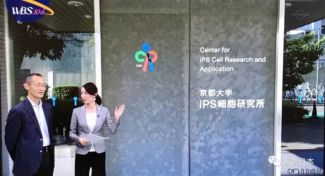 日本iPS细胞研究报告(六)京都大学篇：提供医疗用人源ES细胞
